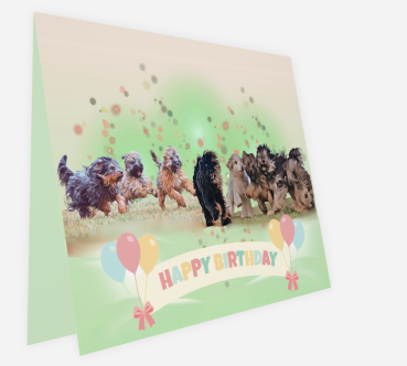 Preview: Happy Birthday